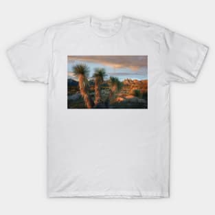 Yucca And Organ Mountains Near Las Cruces T-Shirt